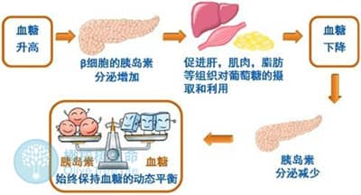 血糖高对泰国试管婴儿成功率有影响吗？