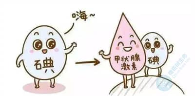 试管备孕饮食注意事项：备孕期、孕期注意科学补碘