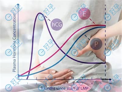 做试管囊胚移植后几天可以验孕?有什么注意事项?