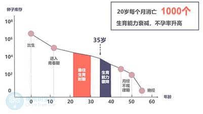 去泰国做试管婴儿：卵泡发育应满足哪些标准？