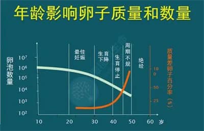 泰国试管婴儿如何让卵子在关键时刻不掉链?