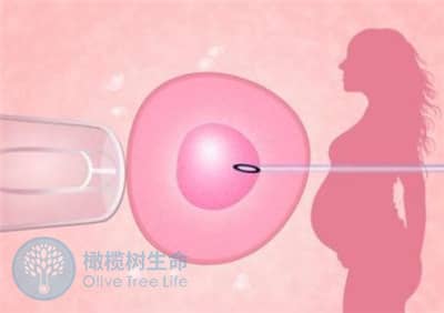 取卵后出现“空卵”怎么办?试管婴儿如何提高获卵率?