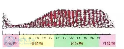 月经周期不规律的原因您是否了解？对试管移植有影响吗?