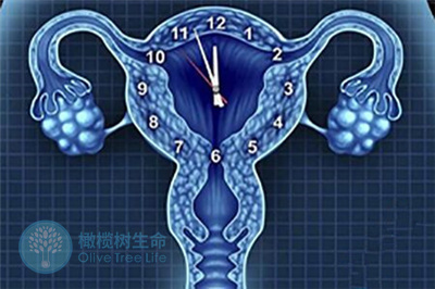 女性超过35岁，如何才能提高试管成功率？