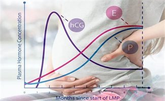 试管着床成功后，哪些情况容易造成生化妊娠？