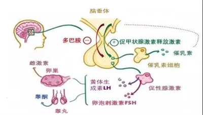 精子碎片率高达70%，通过试管技术可以实现生育吗？