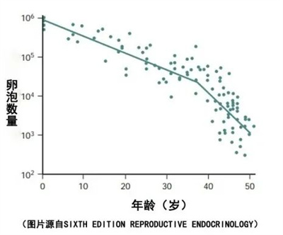 原来冻卵是不是"后悔药"取决于这个因素！