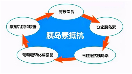 做试管前检查异常，发现胰岛素抵抗该怎么办？