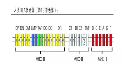 导致复发性流产的罕见因素，九成备孕姐妹都想不到！