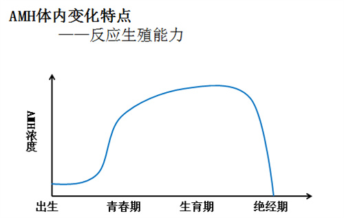 AMH数值太低？做好这4点也能逆风翻盘！