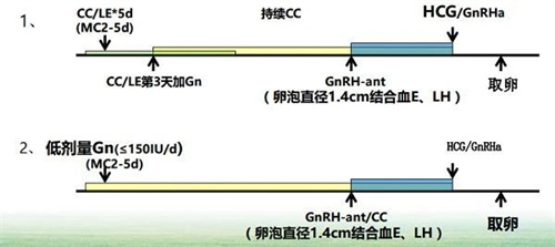 AMH数值太低？做好这4点也能逆风翻盘！