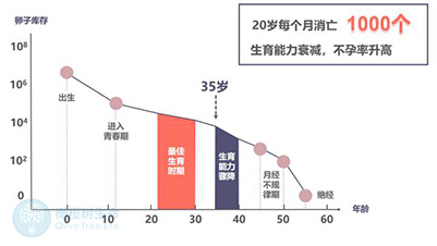 普通人做试管婴儿做几次才能成功主要看这5个方面如何！