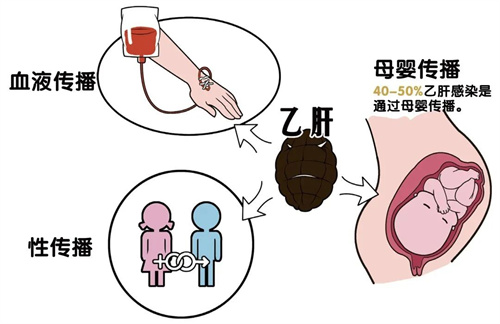 患了乙肝还能生育健康宝宝吗？真相是......