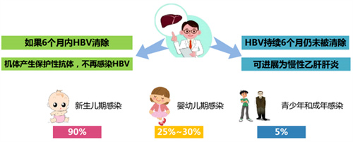 患了乙肝还能生育健康宝宝吗？真相是......