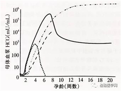 HCG只是用来判断怀孕？是你想得太简单！