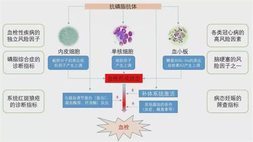 什么？“神药”阿司匹林又又又有新作用了？