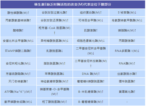 试管备孕时，维生素E到底能不能补？