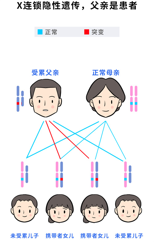 不是空穴来风！生育前必须要了解这项检查