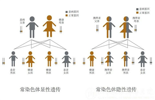 不是空穴来风！生育前必须要了解这项检查