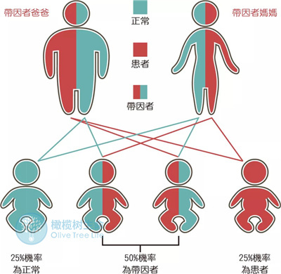 父母患有地中海贫血，通过第三代试管技术能成功吗？