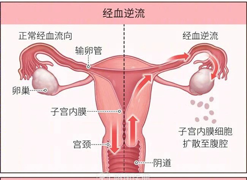 备孕失败不是你的错，有可能是它在作怪！