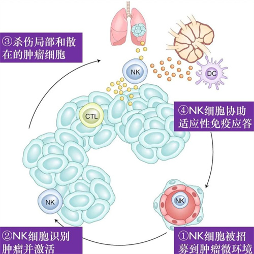 备孕失败不是你的错，有可能是它在作怪！