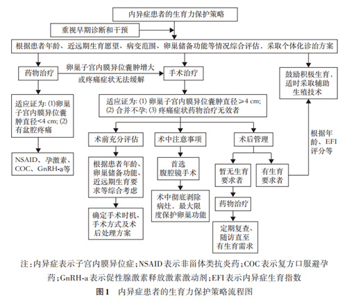 子宫内膜异位症的促排方案指南，哪个适合你？