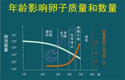 探究卵子质量下降原因 去泰国做试管婴儿方案与好孕措施