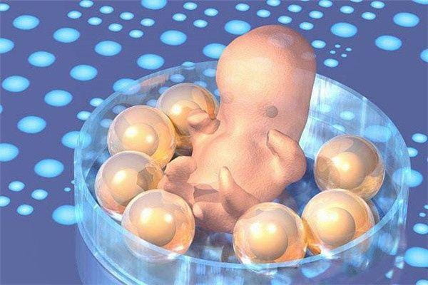 试管婴儿一个周期中取多少颗卵比较合理？